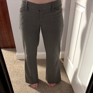 Star City Stylish Gray Trousers